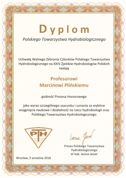 dyplom