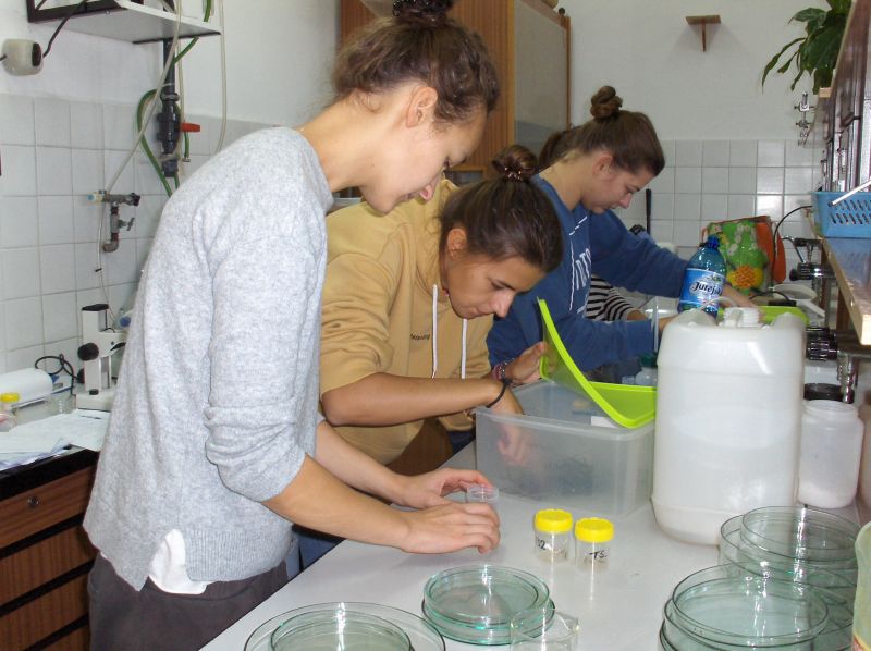 Fot. 5. Praca w laboratorium na Stacji Morskiej w Helu in. Prof. Krzysztofa Skóry