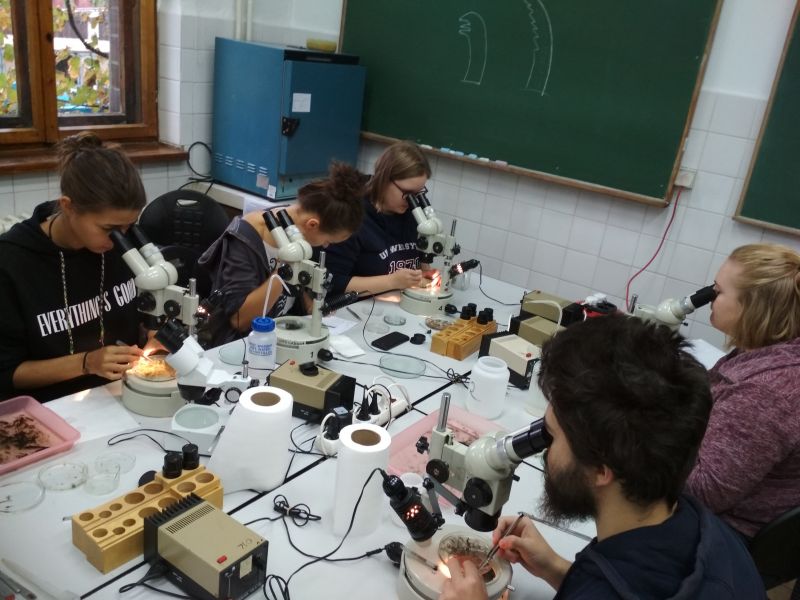 Fot. 5. Praca w laboratorium na Stacji Morskiej w Helu in. Prof. Krzysztofa Skóry