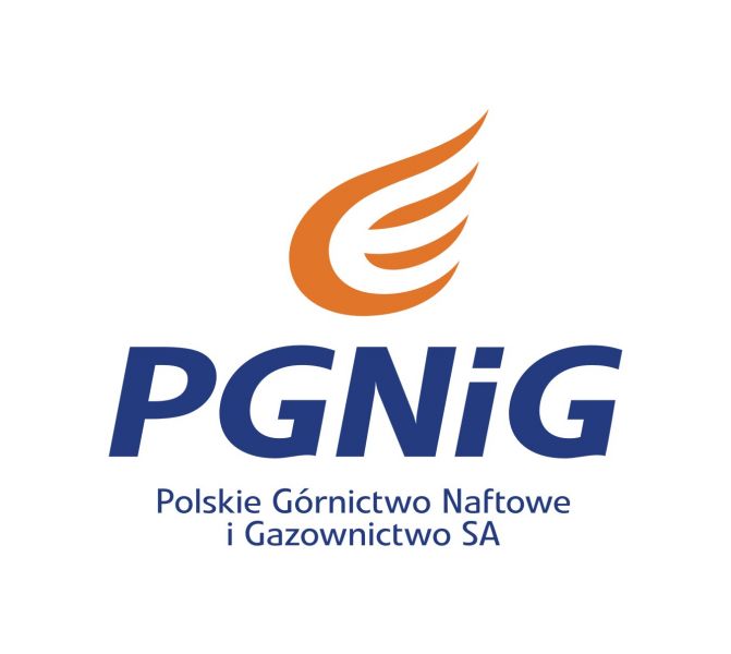logo pgnig
