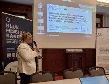 prof. dr hab. Monika Normant-Saremba