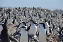 Photo: Lucas Krüger