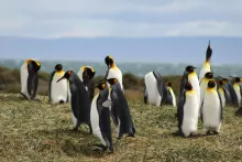 zdjęcie wykonane przez uczestników Stażu