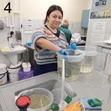 4a