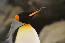 Photo © Dr. Lucas Krüger (private archive)