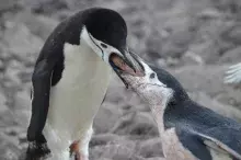 Photo © Dr. Lucas Krüger (private archive)