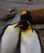 Photo © Dr. Lucas Krüger (private archive)