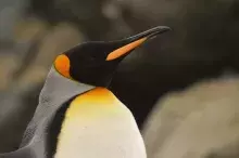 autor: Lucas Krüger