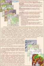 idea Międzynarodowego Roku Mapy