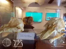 fotorelacja