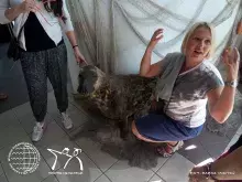 fotorelacja