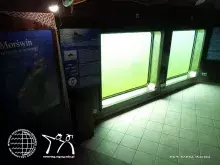 fotorelacja