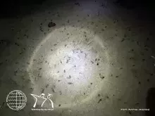 fotorelacja