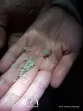 fotorelacja