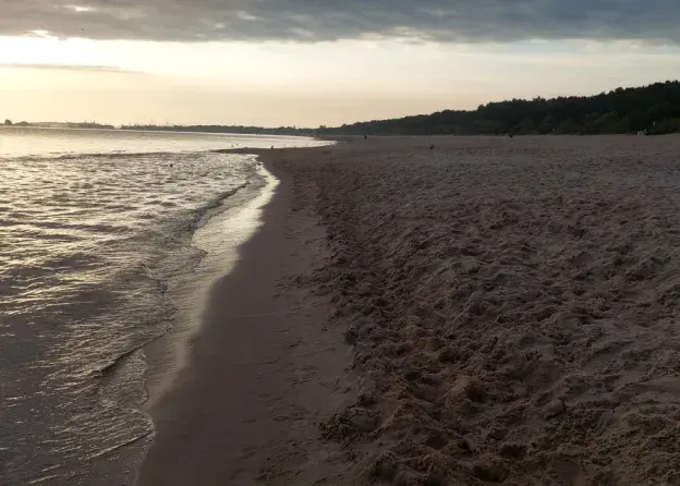 Rozmowa o stanie środowiska Bałtyku z młodymi dyplomatami ze Szwecji