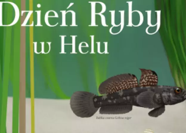 Dzień Ryby w Helu. Babki nie tylko piaskowe…